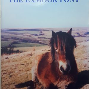 The Exmoor Pony